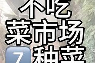 8年前的今天：勇士73胜9负打破公牛纪录 创历史单赛季最佳战绩